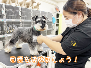 新学期になりました♪